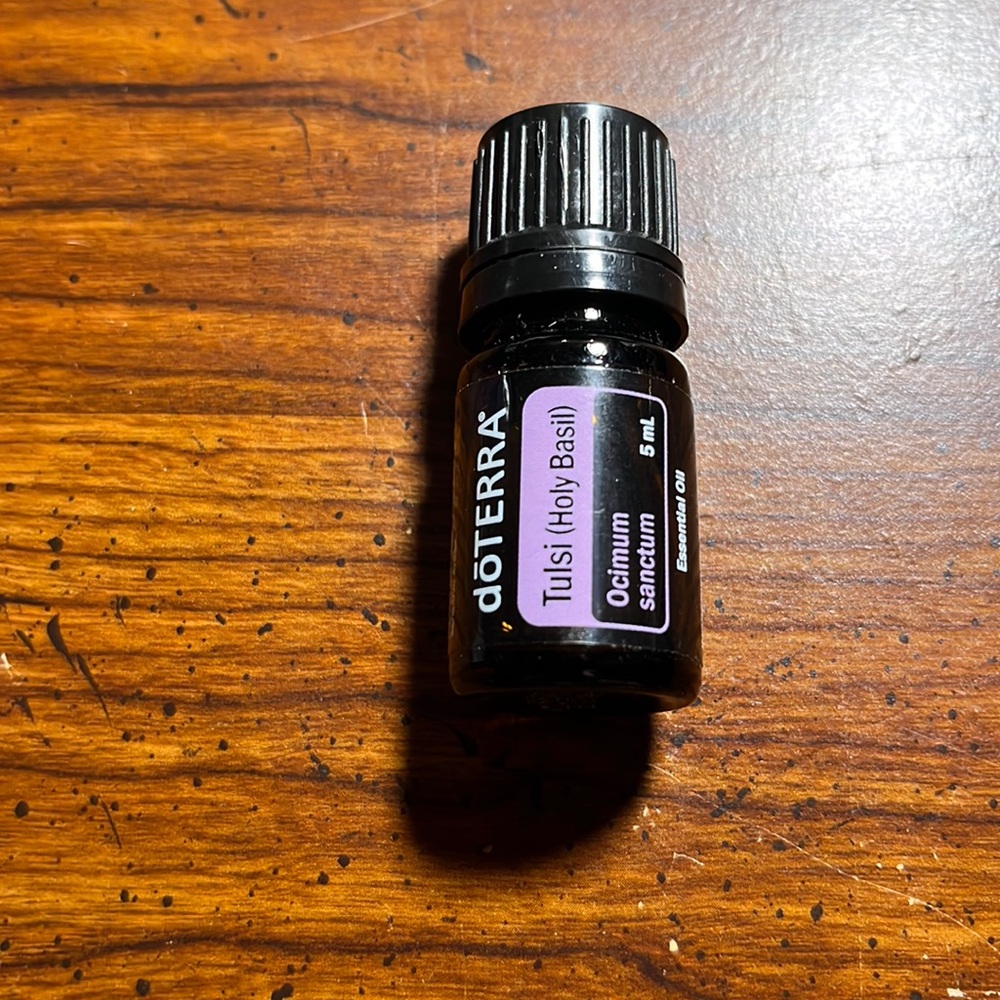 Tulsi holy basil